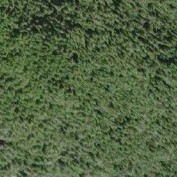 Satellite imagery of Mount Walker, CA