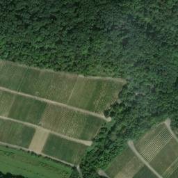 Satellite imagery of Neubruck, DE