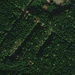 Satellite imagery of Žižkov [Borová], CZ