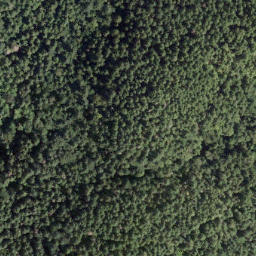 Satellite imagery of Roland Point, CA
