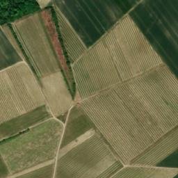 Satellite imagery of Wartbergturm Altzey, DE