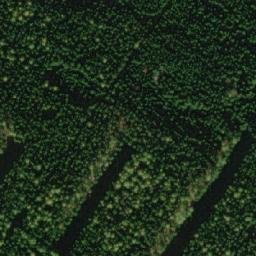 Satellite imagery of Žižkov [Borová], CZ