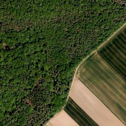 Satellite imagery of Steinberg, DE