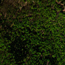 Satellite imagery of cairn, PL