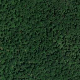 Satellite imagery of Schellenberg, DE