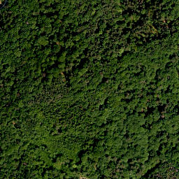 Satellite imagery of Mühlberg, DE