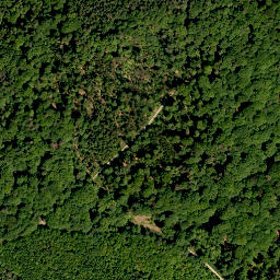 Satellite imagery of Mühlberg, DE