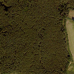 Satellite imagery of Vogelberg, DE