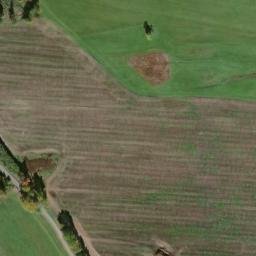 Satellite imagery of Šibeniční vrch [Bor u Tachova] GSM, CZ