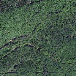Satellite imagery of Brühlskopf, DE