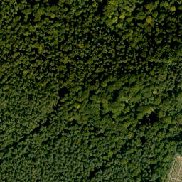 Satellite imagery of Rühlesberg, DE