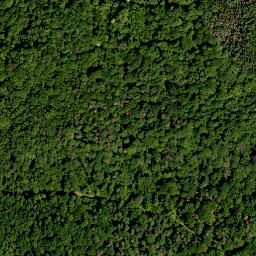 Satellite imagery of Mühlberg, DE