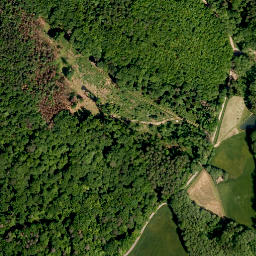 Satellite imagery of Mühlberg, DE