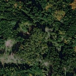 Satellite imagery of Strážný vrch [Hošťka-Pořejov], CZ