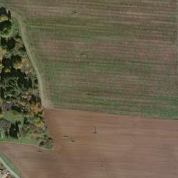 Satellite imagery of Šibeniční vrch [Bor u Tachova] GSM, CZ