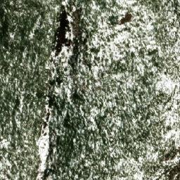 Satellite imagery of Okanagan Mountain, CA