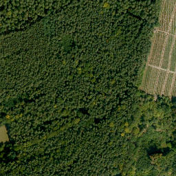 Satellite imagery of Rühlesberg, DE