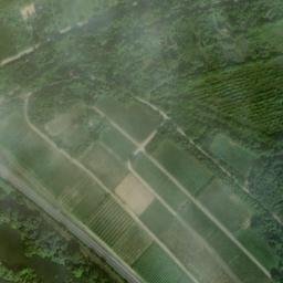 Satellite imagery of White Tower, DE