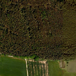 Satellite imagery of Vogelberg, DE