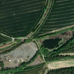 Satellite imagery of Farský vrch [Bor-Holostřevy], CZ