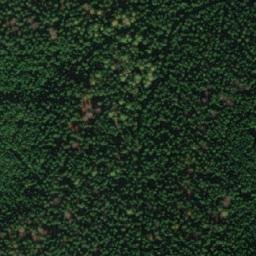 Satellite imagery of Kaštánkův kopec [Pustá Kamenice], CZ