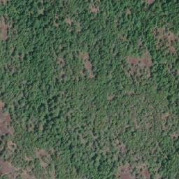 Satellite imagery of Surprise Mountain, CA