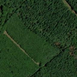 Satellite imagery of Viehauskopf, DE