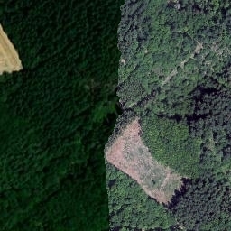 Satellite imagery of Geisling, DE