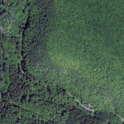 Satellite imagery of Geisling, DE