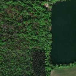 Niederwaldsee