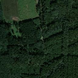 Satellite imagery of Hradecký les [Hradec nad Svitavou], CZ