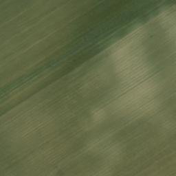 Satellite imagery of 0255901 - A, BE
