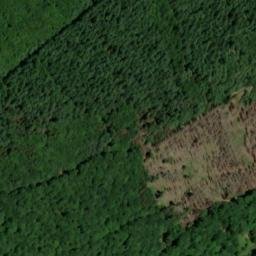 Satellite imagery of Viehauskopf, DE