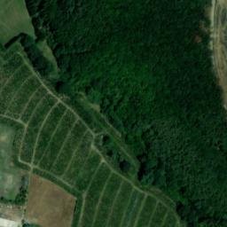 Satellite imagery of Bornberg, DE