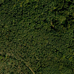 Satellite imagery of Rauschen, DE