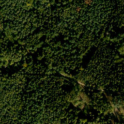 Satellite imagery of Rauschen, DE