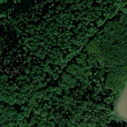 Satellite imagery of Wolfsgrube Bronnbach (Wolf pit Bronnbach), DE