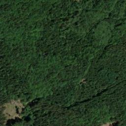 Satellite imagery of Liščí vrch [Hošťka-Žebráky], CZ