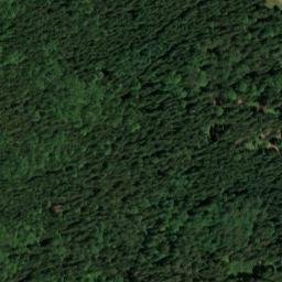 Satellite imagery of Liščí vrch [Hošťka-Žebráky], CZ
