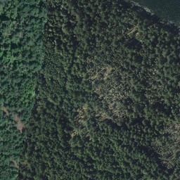 Satellite imagery of Northeast Point, CA