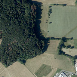 Satellite imagery of Raupenstein, DE