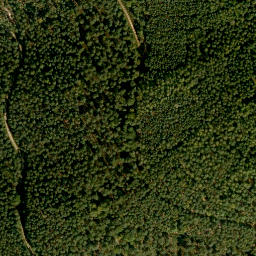 Satellite imagery of Rauschen, DE