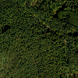 Satellite imagery of Rauschen, DE