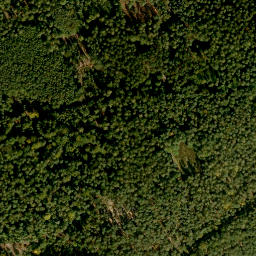 Satellite imagery of Rauschen, DE