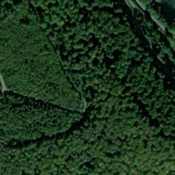 Satellite imagery of Wolfsgrube Bronnbach (Wolf pit Bronnbach), DE