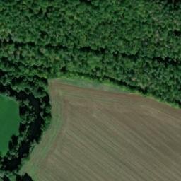 Satellite imagery of Wolfsgrube Bronnbach (Wolf pit Bronnbach), DE