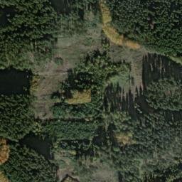 Satellite imagery of Třešňovec [Přimda-Újezd], CZ