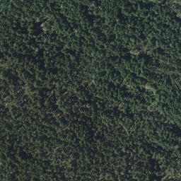 Satellite imagery of Northeast Point, CA