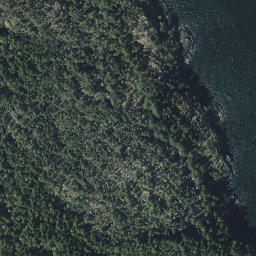 Satellite imagery of Northeast Point, CA