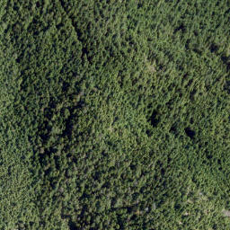 Satellite imagery of Mount Hallowell, CA